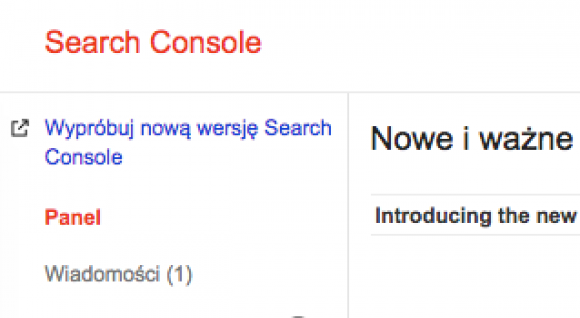 przejscie-na-nowe-search-console,słownik